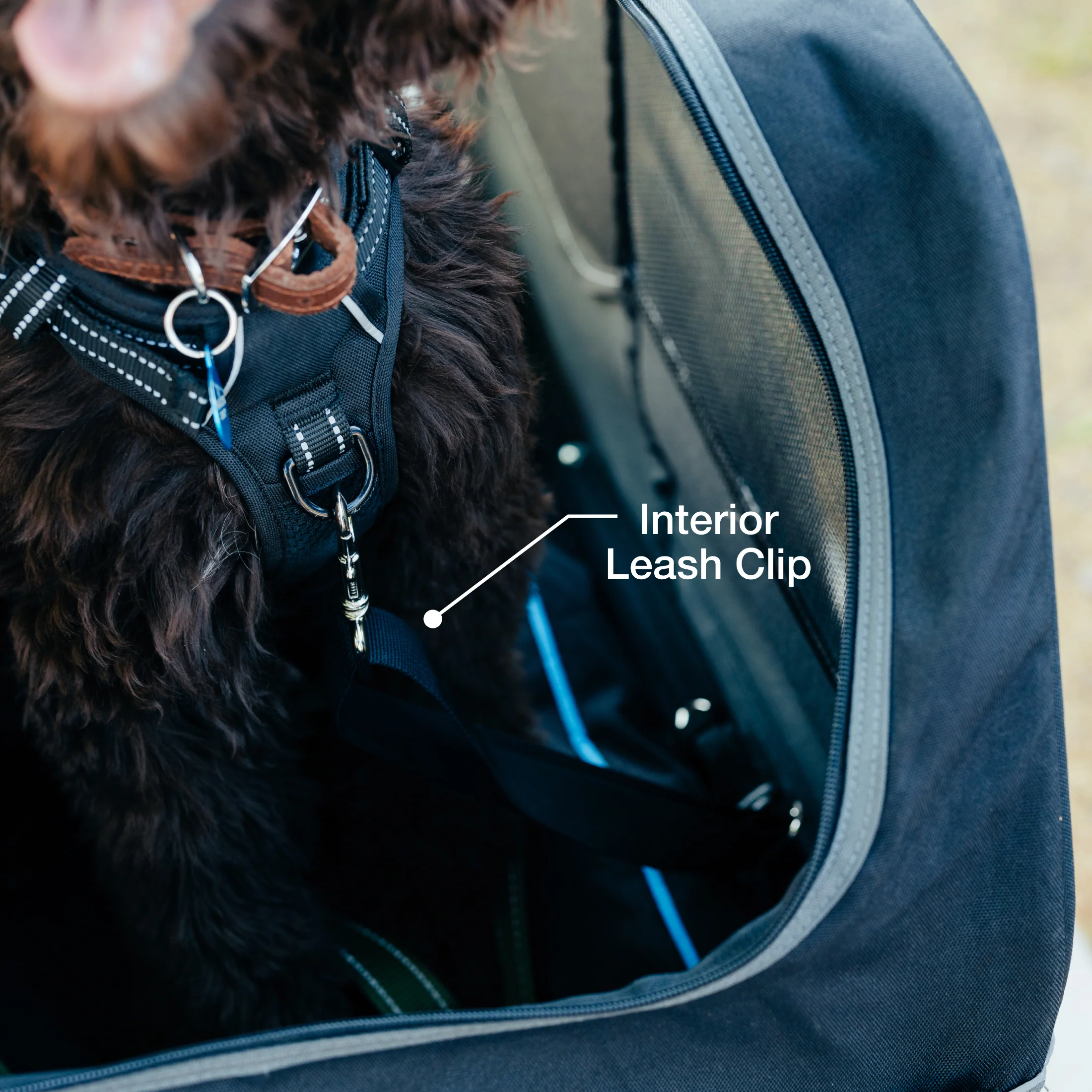 Large Pet Trailer - Image 9