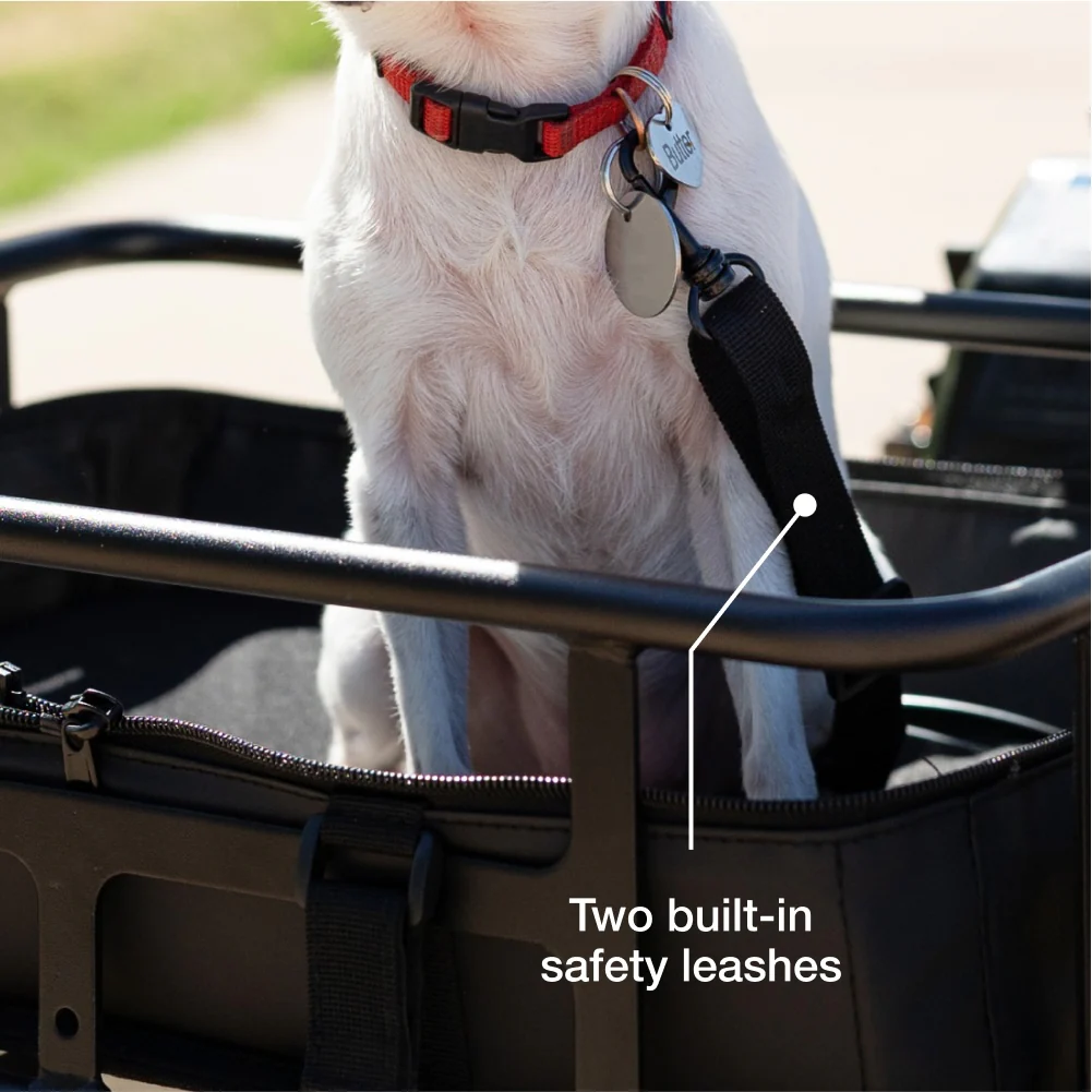 Small Pet Carrier - Image 3