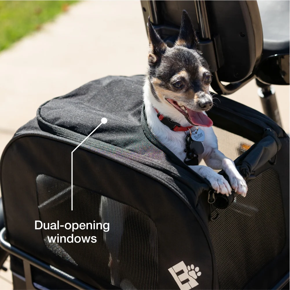 Small Pet Carrier - Image 4